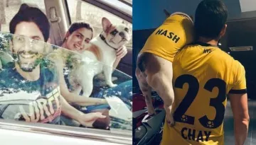 Naga Chaitanya And Samantha Ruth Prabhu Are Back Being Friends? Former's Latest Post Hints The Same