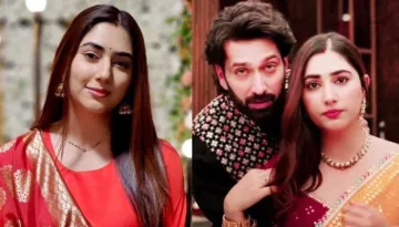 Disha Parmar Quits 'Bade Ache Lagte Hain 2': Here's Why She Left Despite Earning Rs. 80K Per Episode