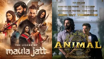 Pakistani Actor, Babar Ali Talked About Ranbir Kapoor's 'Animal' Copying His Character, 'Maula Jatt'