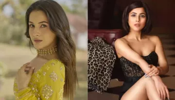 Shehnaaz Gill's Net Worth: 'Kisi Ka Bhai Kisi Ki Jaan' Actress' Luxury Home, Expensive Cars, More