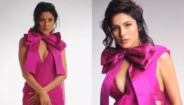 Shehnaaz Gill Dons A Pink Saree And A Plunging Neckline Blouse, Looks Like A Hot Mess In Sexy Outfit