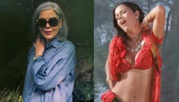 Zeenat Aman Flaunts Her Curves In An Old Photo From 'Satyam Shivam Sundaram', Talks On Obscenity