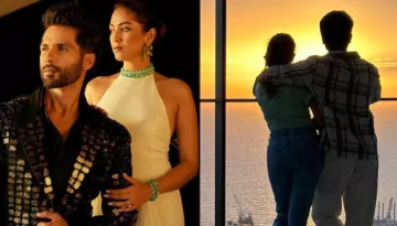 Shahid Kapoor Gives A Glimpse Of Sunset View From His Rs. 58 Crores Sea-Facing Home, Poses With Mira