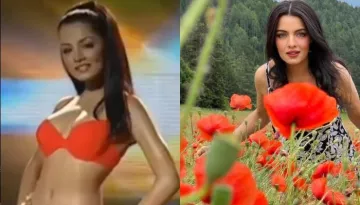 Celina Jaitly On Struggles Of Her Career, Reveals She Was 'Unpaid' And 'Faced Constant Criticism'