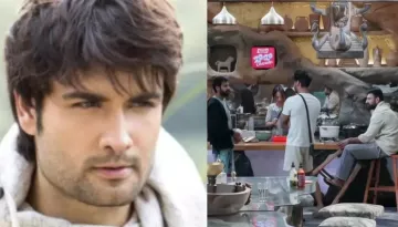 'BB18's Karan Veer Mehra Praises Vivian Dsena As 'Sahi Aadmi', Shocking Rajat Dalal And Digvijay