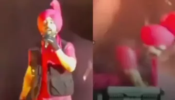 Diljit Dosanjh Falls On Stage During His Ahmedabad Concert, Pauses The Show: 'Bhai Yahan Pe Fire..'