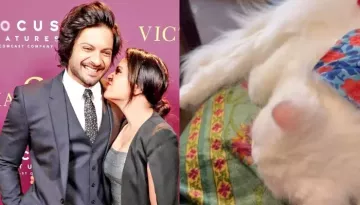 Richa Chadha Spends Quality Time With Fur Baby, Mom-To-Be Flaunts Her Baby Bump For The First Time