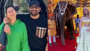 Arshad Warsi's Wife Criticise Ambanis For Using 'Rescued Elephant' As  Prop: 'Just Heartbreaking'