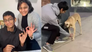 Chatori Rajani Jain's Son's Last Post Surfaces As He Played With Street Dog A Week Before Death