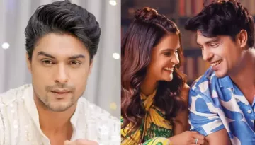 Ankit Gupta Shares First Reaction On Breakup News With Priyanka Choudhary, After Unfollowing Her