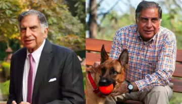 Ratan Tata's Final Act Of Kindness: Leaves Rs 3.5 Crore For Staff, Rs 12 Lakh For Pet Dog, Tito