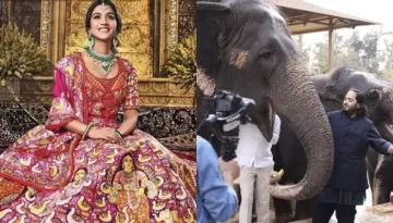 Radhika Merchant's 'Shubh Aashirwaad' Lehenga Was An Ode To Anant Ambani's Love For Animals