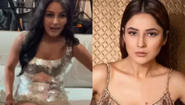 Shehnaaz Gill Schools The Paps As They Try To Capture Her Oops Moment, 'Are Bhai...'