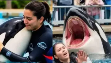 Who Is Jessica Radcliffe? 23-Yr-Old Marine Trainer Killed By Orca The Killer Whale, Here's The Truth