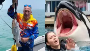 Ian Botham's Crocodile Escape Post Surfaces Amid Jessica Radcliffe's Fake Orca Attack Video