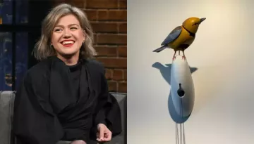 Kelly Clarkson's Store Feud, Singing Bird's Price Soares To USD 15 Million As CCTV Video Goes Viral