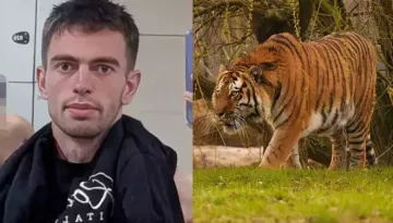 William Chapman, Killed By Tiger In Yorkshire Zoo, Was A Child Actor, His Childhood Pic Surfaces
