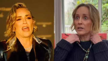 Sharon Stone Divorced Ex-Husband As He Was Upset That She Had Remove Her Breasts Due To Cancer