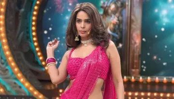 Mallika Sherawat Married A Pilot At 21, All About Ex-Husband Karan Singh Gill And Their Divorce