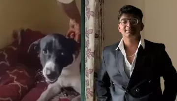 Kunal Chandgude's Dog Sheru Who Waited For 3 Days For His Family To Return, Finds A New Home