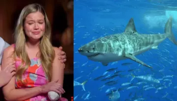 34-YO Mom Fights Back As A Shark Drags Her Down, Survives Near-Fatal Attack, 'Fought Like Dinosaur'