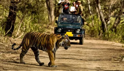  5 Affordable Summer Vacation Ideas For Couples   