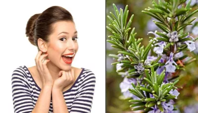  15 Hidden And Unique Benefits Of The Wonder Herb Rosemary   