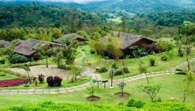  8 Reasons To Visit Coorg For A Short And Sweet Honeymoon   
