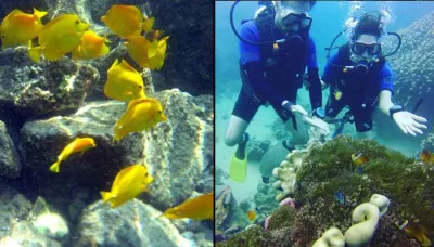 7 Enthralling Honeymoon Destinations For Snorkel Lovers