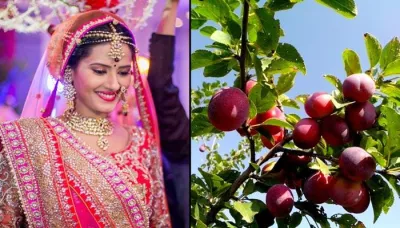  6 Magical Beauty Benefits Of Plum You Might Have Never Heard About   