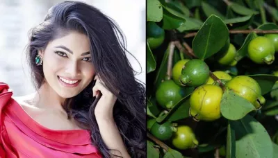  3 Easy Steps To Stop Hair Fall Using Guava Leaves In 30 Minutes   