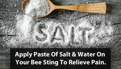  9 Unusual And Unexpected Uses Of Salt For Household Problems That You  Might Not Know   