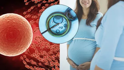  Everything You Need To Know About IVF Treatment Before Opting For It   