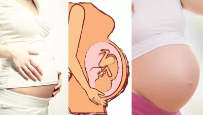 Stages Of Pregnancy Week By Week: Developments Of The Baby In A Pregnant Woman's Womb