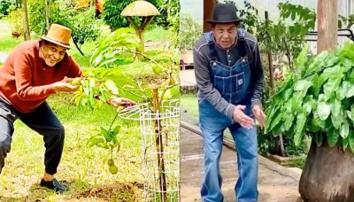 Dharmendra's 100-Acre Beautiful Farmhouse Is Situated In The Laps Of Lush Green Nature