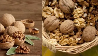  10 Hidden Beauty And Health Benefits Of Wonderful Walnut   