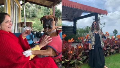  Neena Gupta's Beautiful Mukteshwar Home In The Hills Of Uttarakhand Is A Complete Virtual Delight   