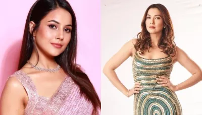 'Bigg Boss' Contestants Who Got Trolled For Being Pro Or Against Stars: From Shehnaaz To Gauahar