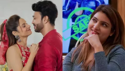  'BB 17': Sana Raees Khan Bagged More Money Than Vicky Jain From The Show? Here's What We Know   