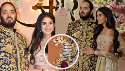  Anant Ambani's Huge Ruby And Diamond Embedded Tiger Brooch Grabs Eyeballs During His 'Sangeet'   