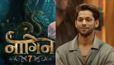  Is Baseer Ali Joining Ektaa Kapoor's 'Naagin 7' After His Eviction From Salman's 'Bigg Boss 19'?   