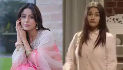  Shehnaaz Gill Reveals She Was Bodyshamed In 'Bigg Boss 13', 'Bahut Bodyshaming Hui, Moti Majh..'   