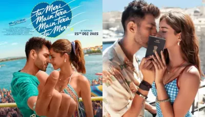 'Tu Meri Main Tera Main Tera Tu Meri' Cast Fees, Is Kartik Aaryan Highest Paid Actor Of Dharma Film?