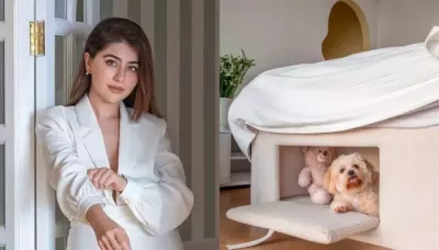 Aditi Bhatia's 6.5M Instagram Followers Inspired Dream Home Decor: Glam Room, Walk-In Closet, More
