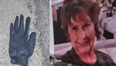 Nancy Guthrie Missing Case Latest Discovery,  Arizona Couple Discovers Gloves, A Rock Near Her House