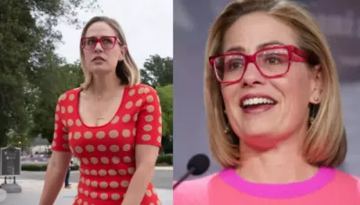  Who Is Kyrsten Sinema's Ex-Husband, Blake Dain? Inside Her Married Life Amid Affair Controversy   