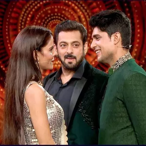 Ankit Gupta Speaks On His Relationship With Co-Star Priyanka Chahar