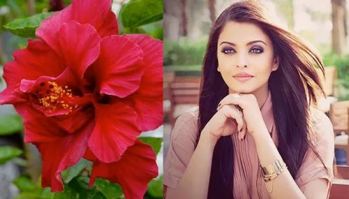 8 Benefits Of Hibiscus Flowers For Hair Care, Boosts Hair Growth And Delays Premature Greying