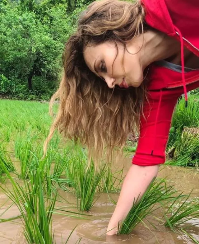 Salman Khan's Rumoured Girlfriend, Lulia Vantur Plants 'Rice' At His ...