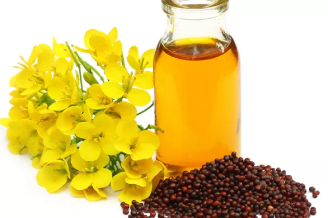 Mustard Oil For Weight Lose